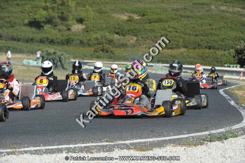 DSC (3944).JPG